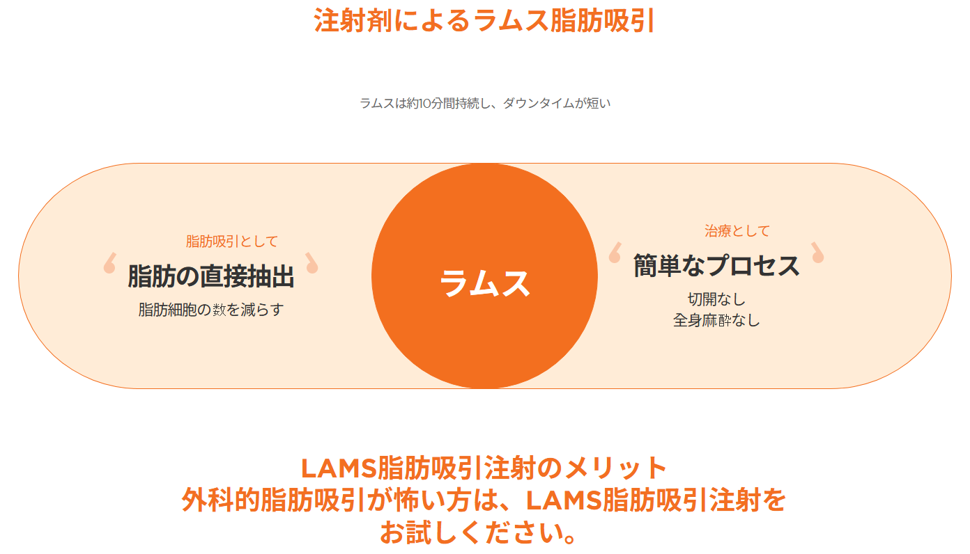 365mc LAMSの特徴
